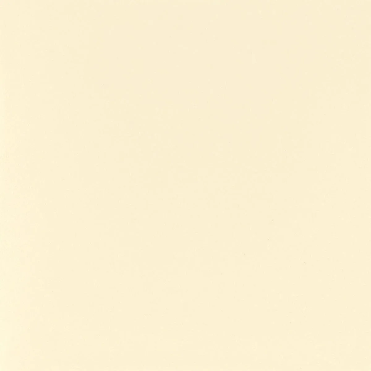 Align Dining Chair - Silver, Off White