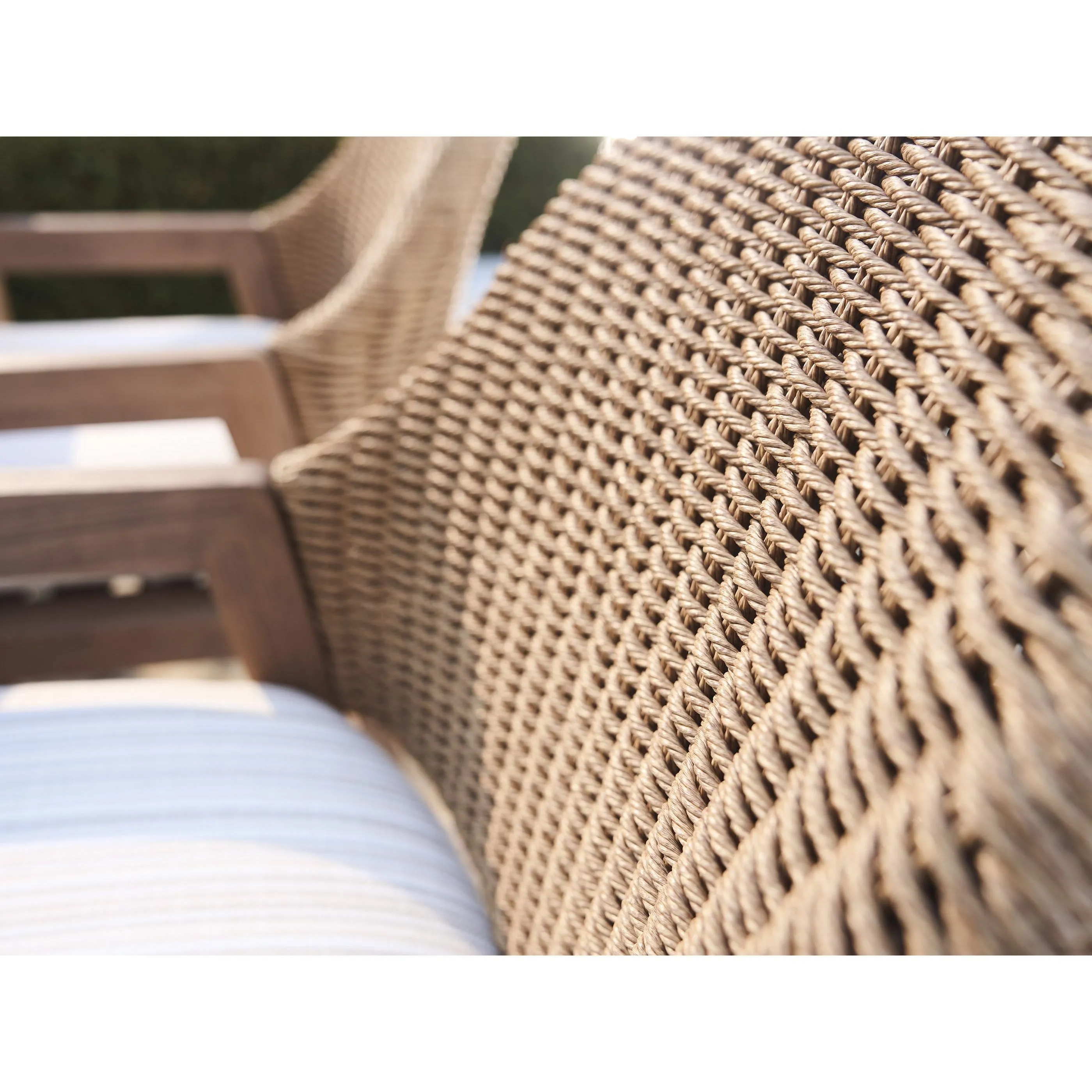 Arm Dining Chair