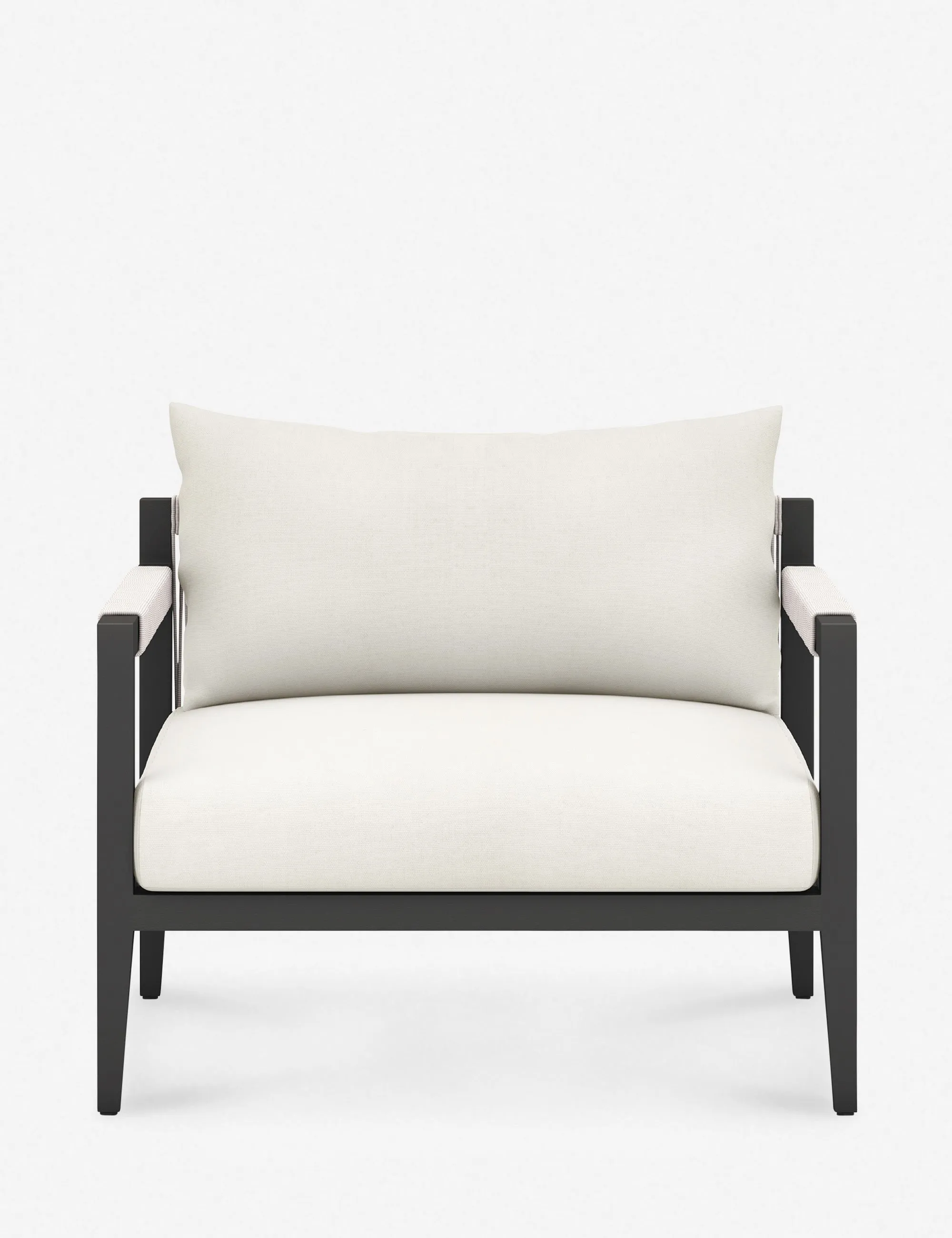 Cadenza Indoor / Outdoor Accent Chair