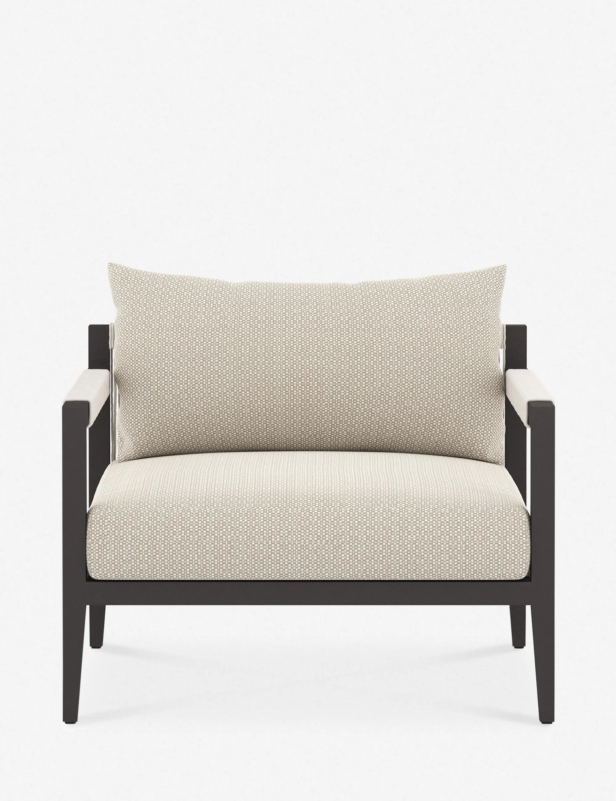 Cadenza Indoor / Outdoor Accent Chair