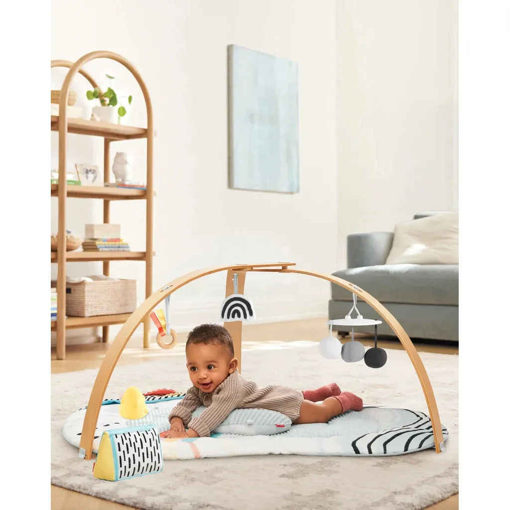 Discoverosity Deluxe Activity Gym