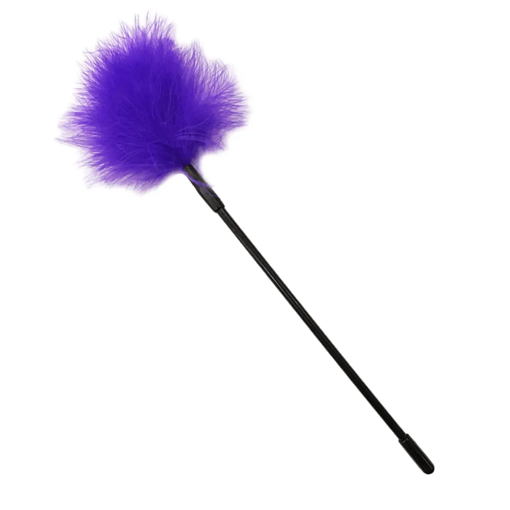 Love in Leather Feather Tickler
