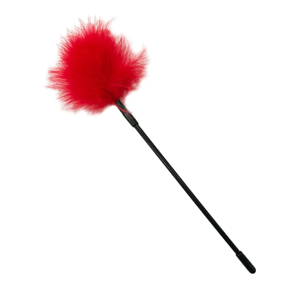 Love in Leather Feather Tickler