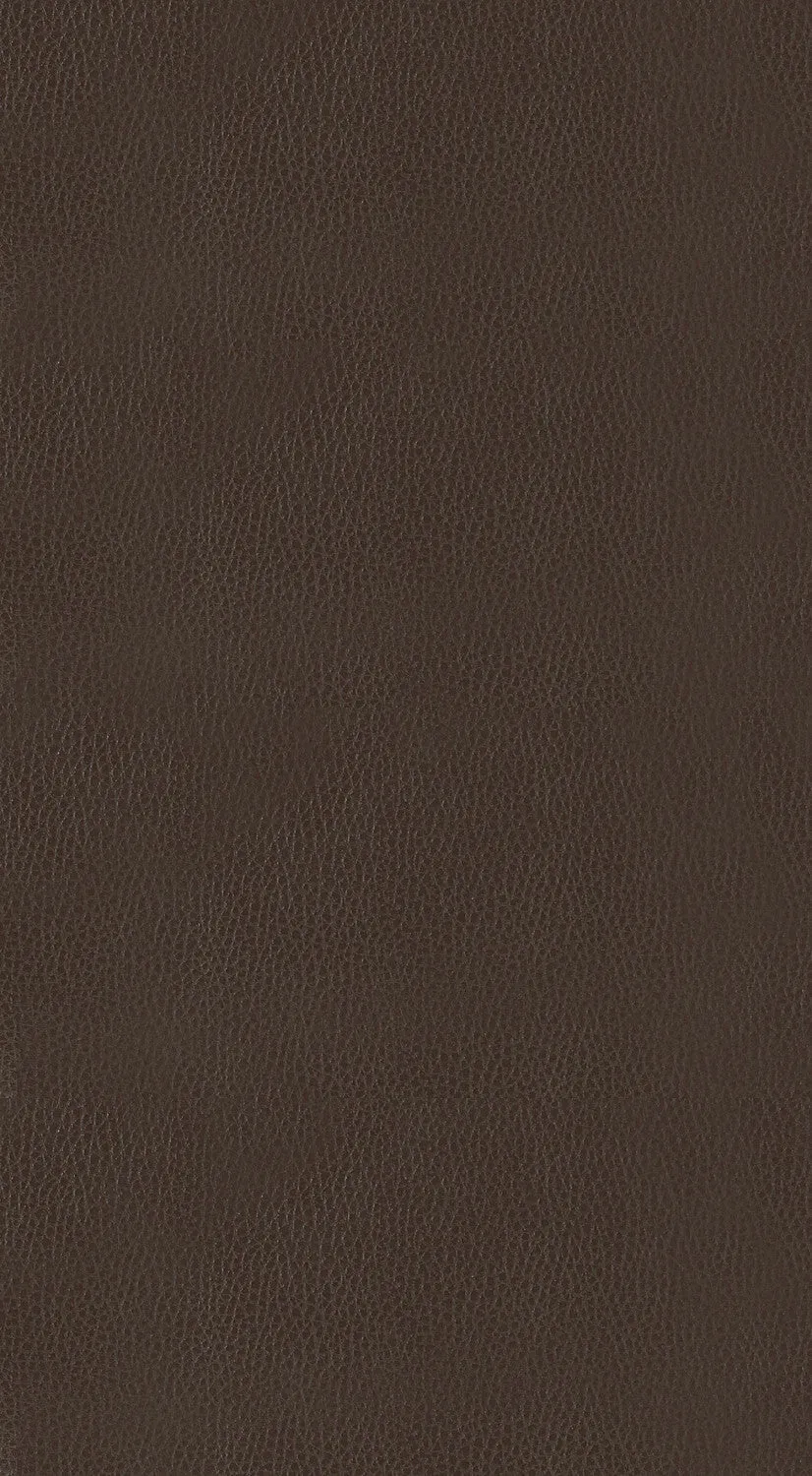 Ordway Bar Stool - Brown