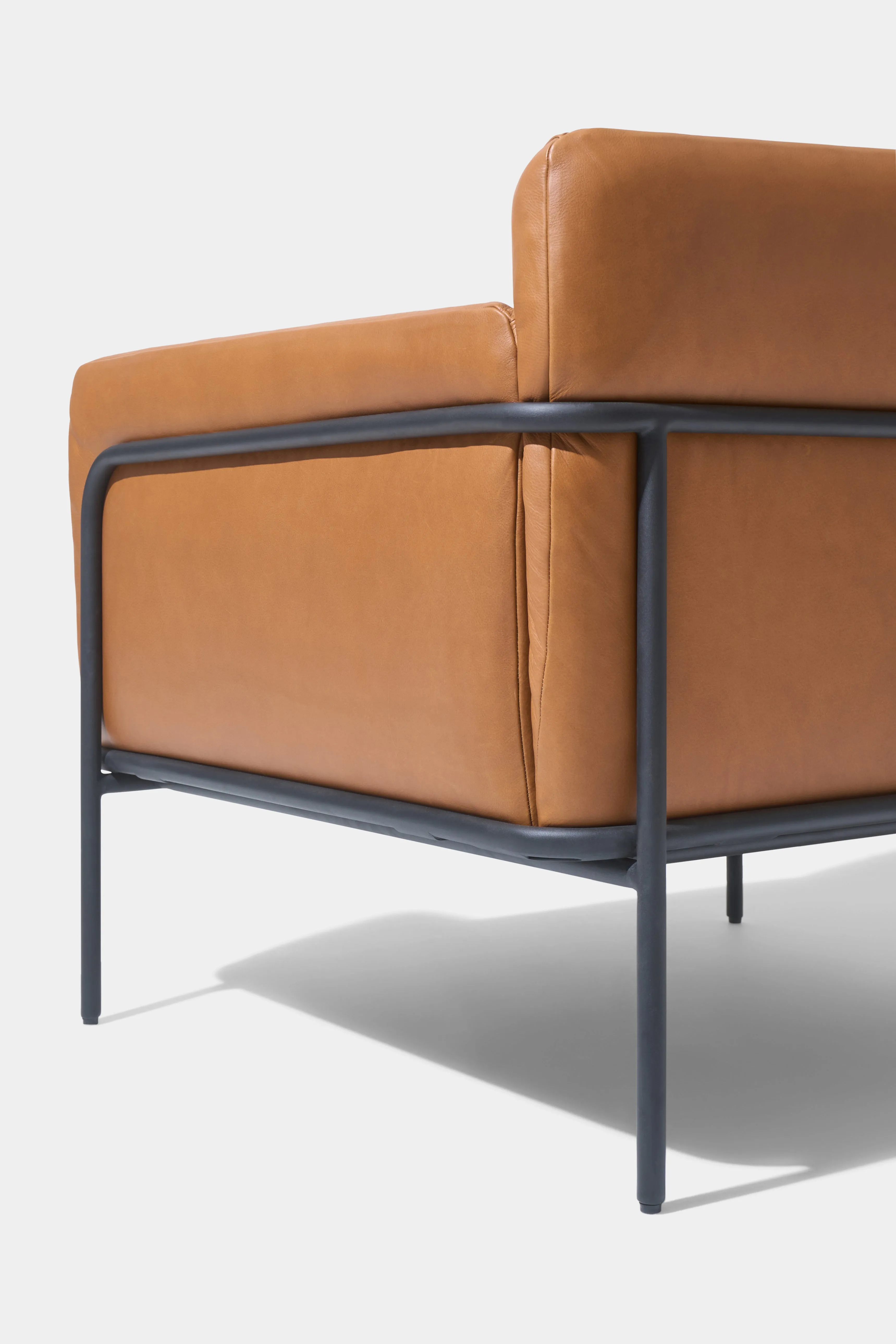 Scribe Lounge Chair