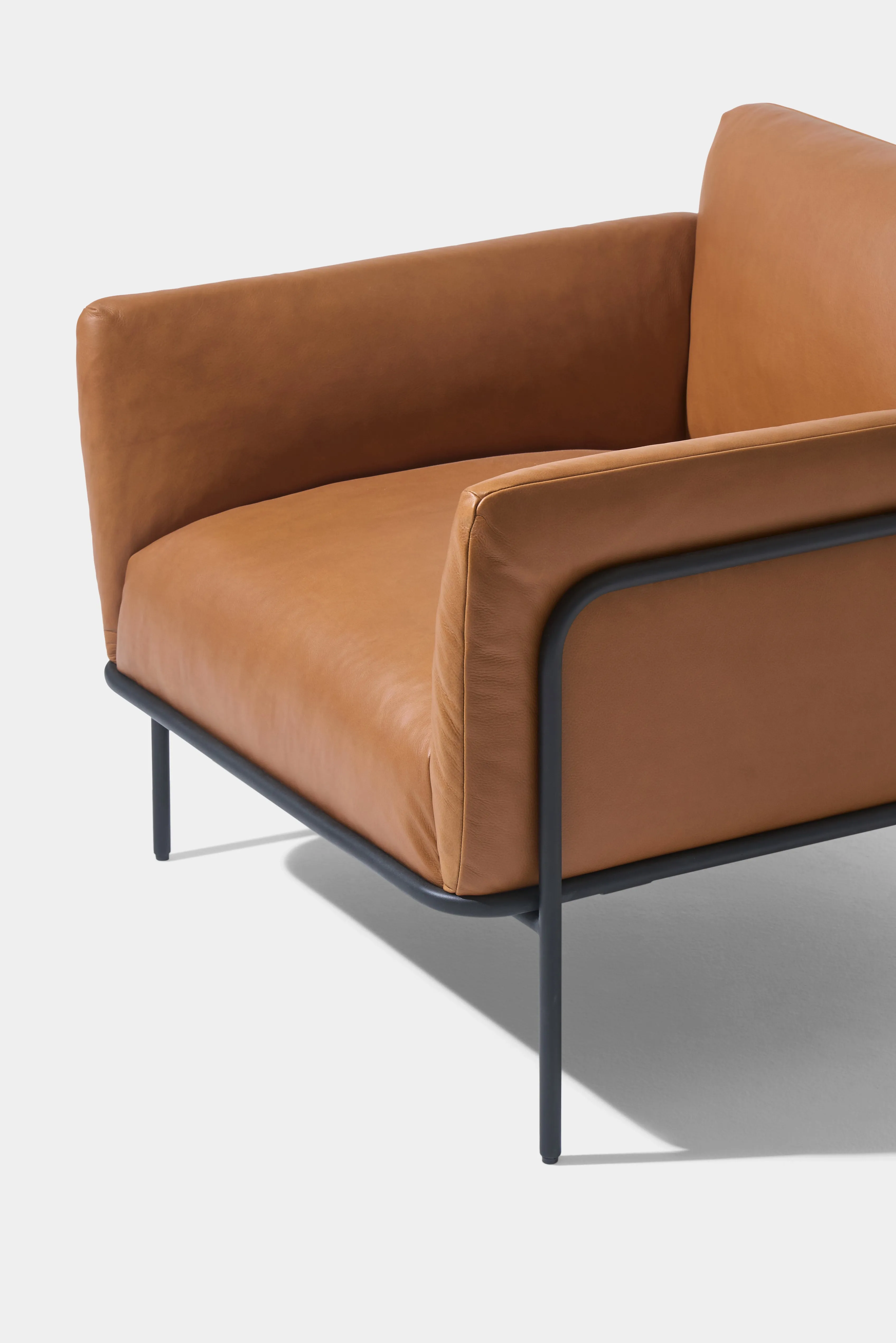 Scribe Lounge Chair