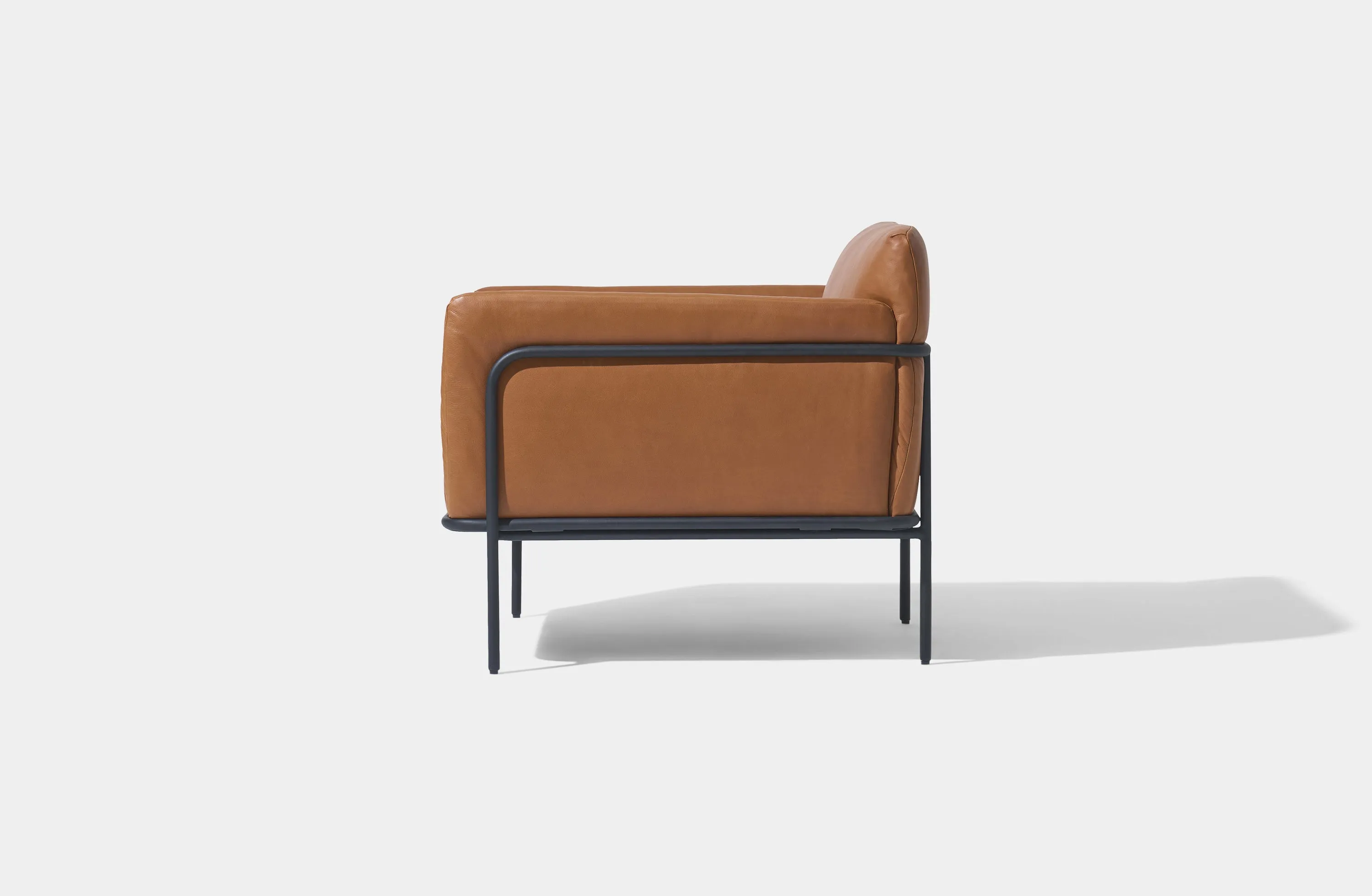Scribe Lounge Chair